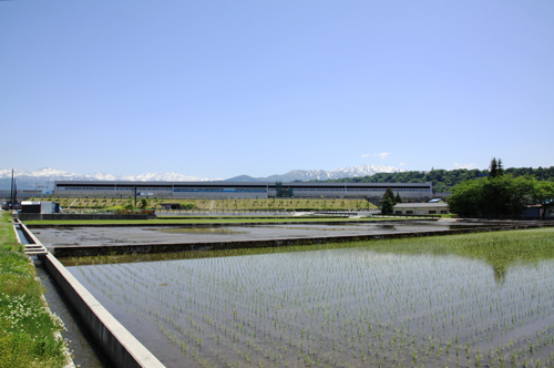 新幹線駅周辺（2013.05.25）